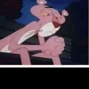 Meet your Posher, Milci as des